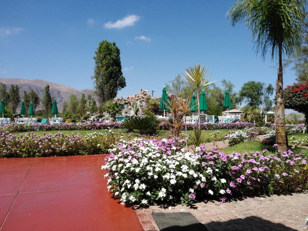 Hotel Casa Hacienda Nasca Oasis 4*